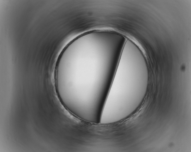 X0000100350959200806060757