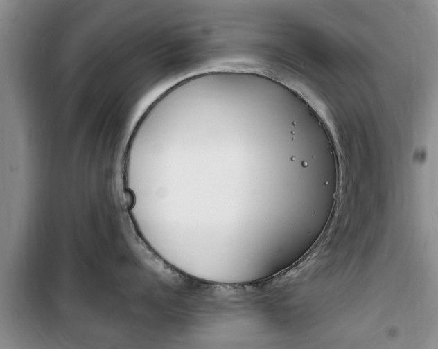 X0000100350960200806060757