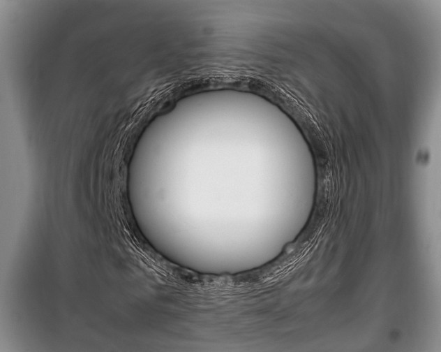 X0000100350961200806060757
