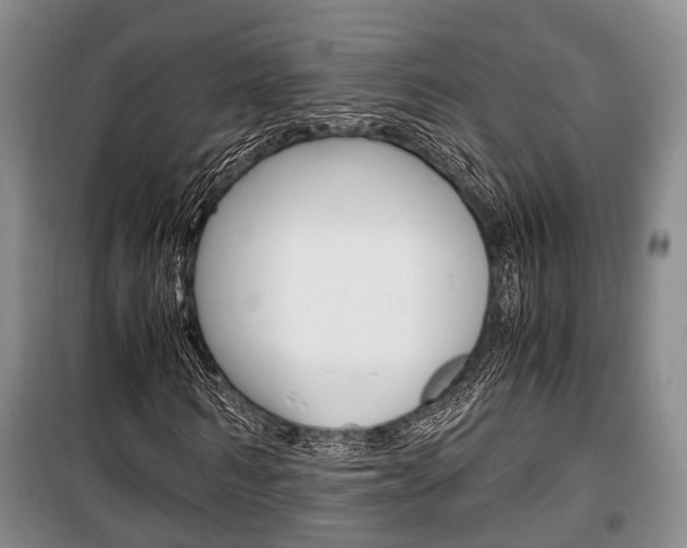 X0000100350962200806060757