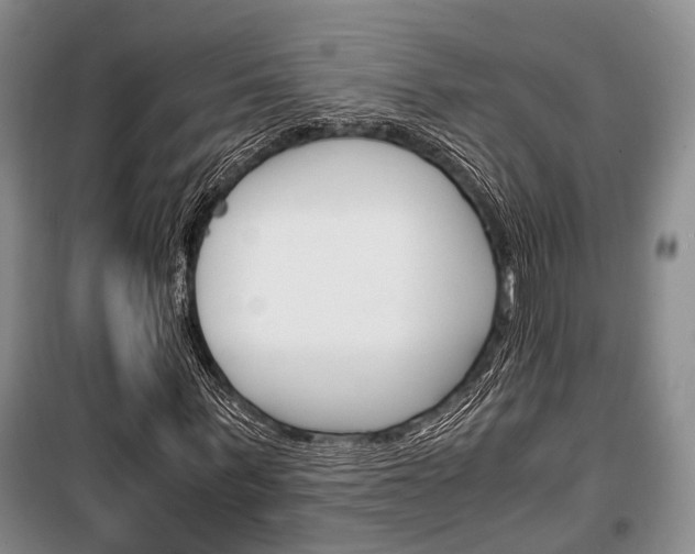X0000100350963200806060757