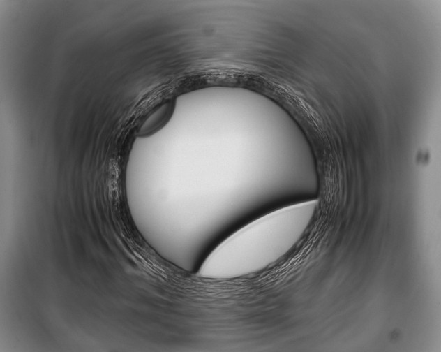 X0000100350964200806060757