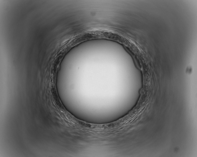 X0000100350965200806060757