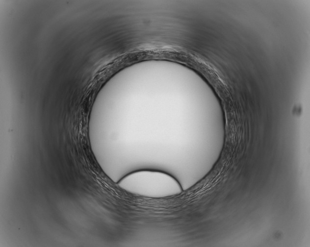 X0000100350966200806060757