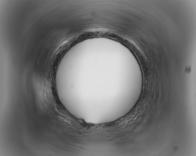 X0000100350967200806060757