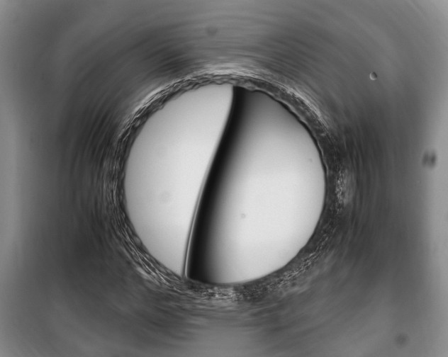 X0000100350968200806060757