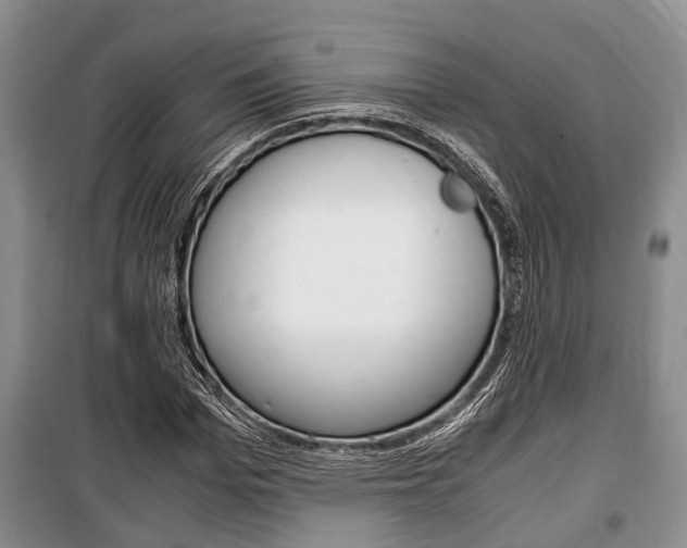 X0000100350969200806060757