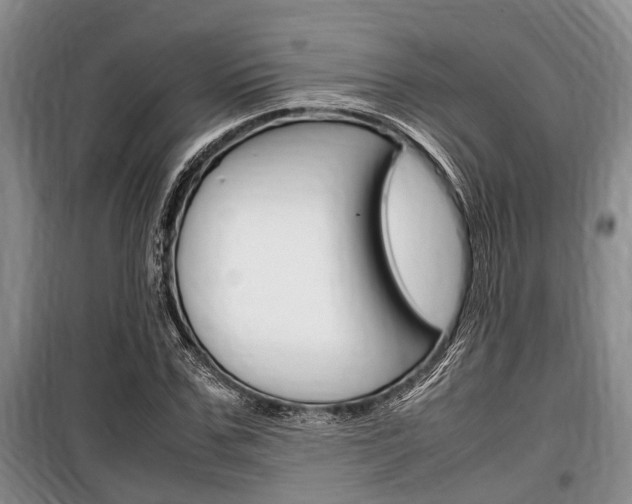 X0000100350971200806060757