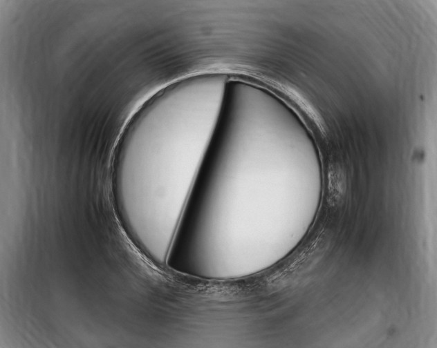 X0000100350972200806060757