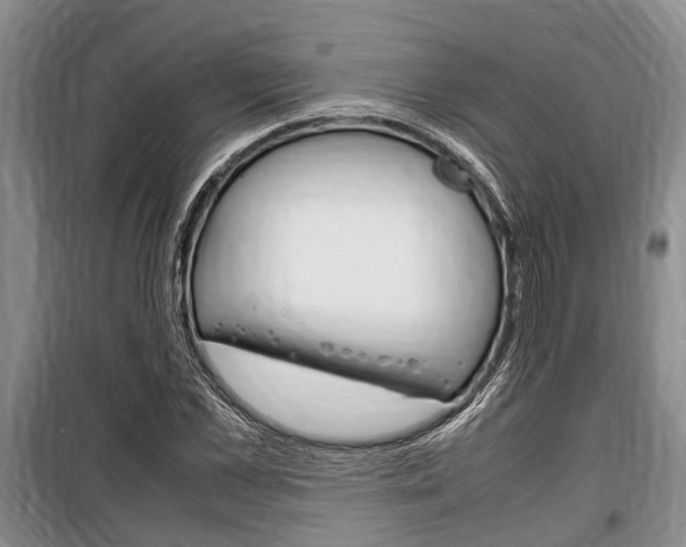 X0000100350973200806060757