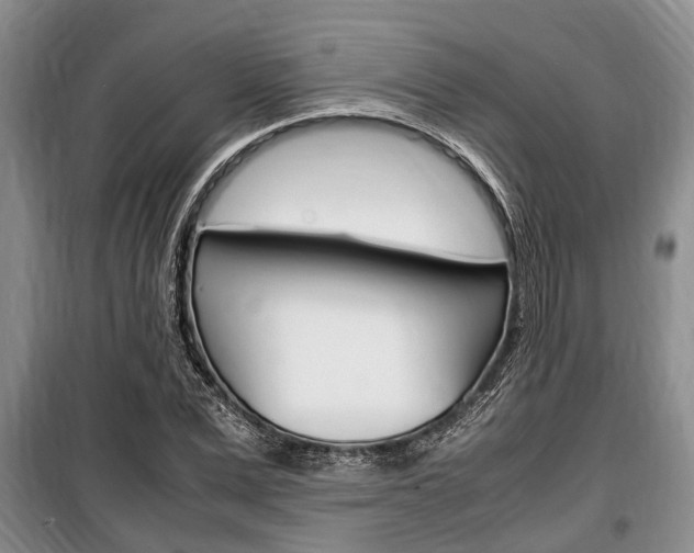X0000100350975200806060757