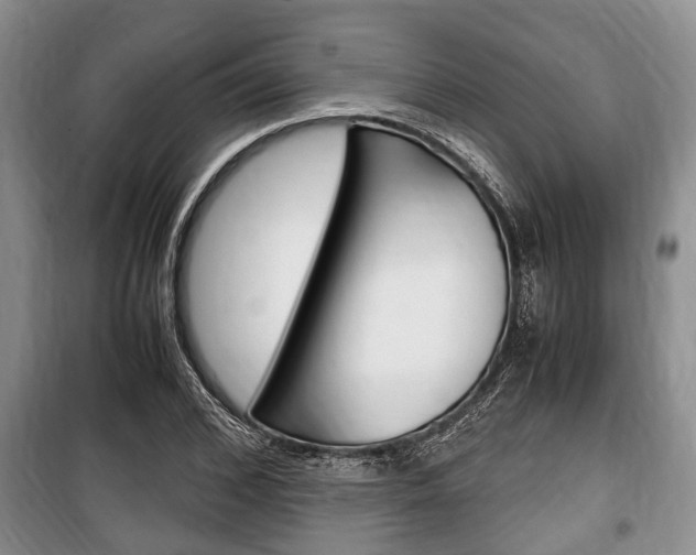 X0000100350976200806060756