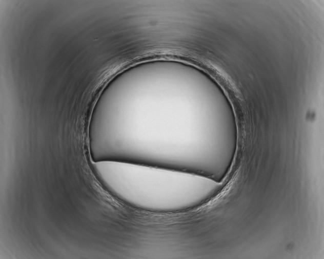 X0000100350977200806060756