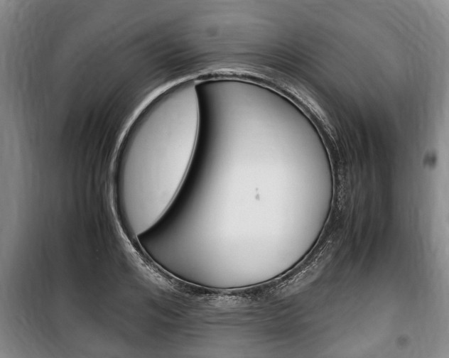 X0000100350984200806060756