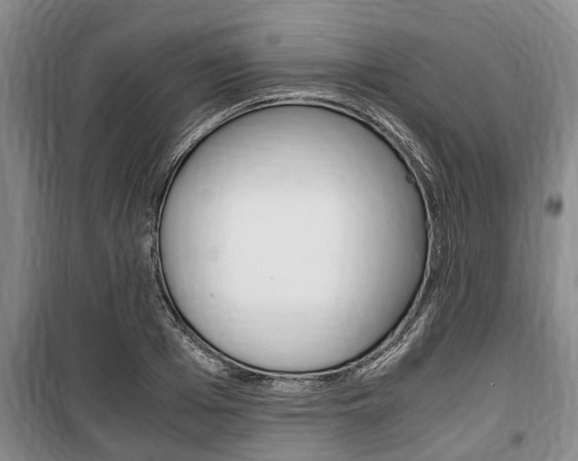 X0000100350985200806060756