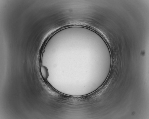 X0000100350987200806060756
