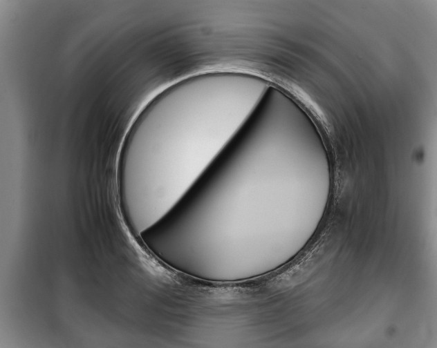 X0000100350988200806060756