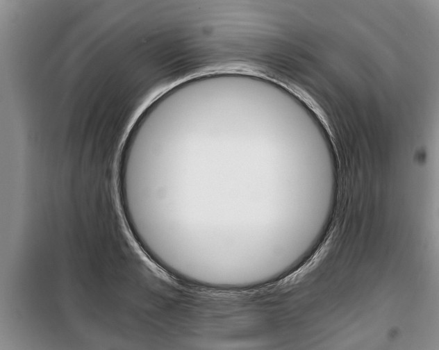 X0000100350989200806060756
