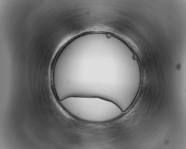 X0000100350990200806060756