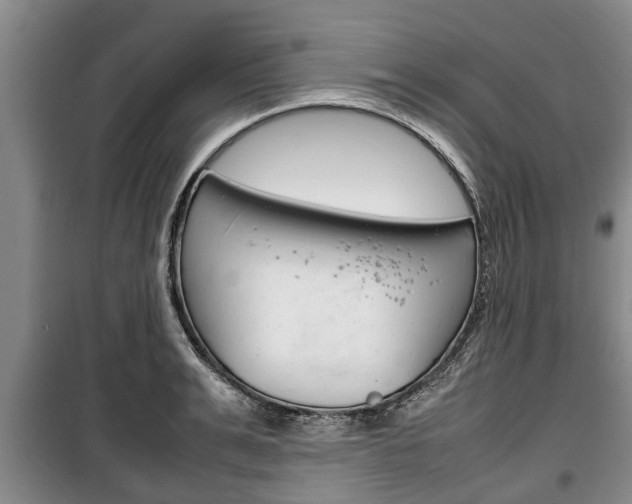 X0000100350991200806060756