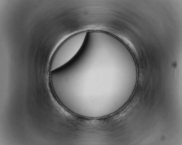 X0000100350992200806060756