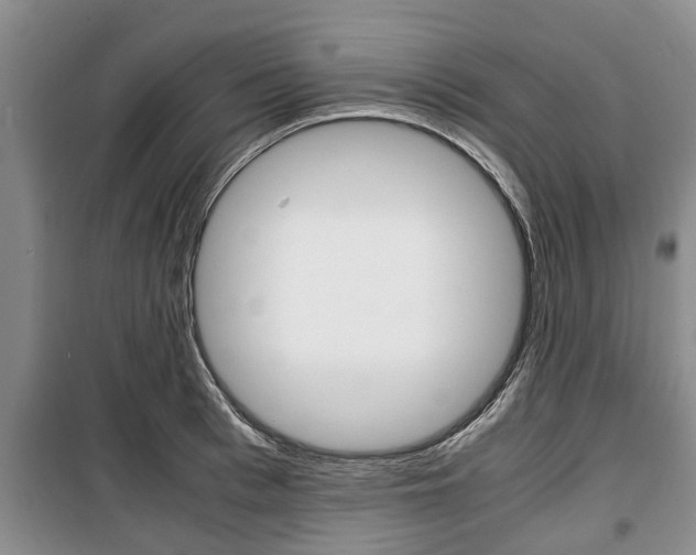 X0000100350993200806060756