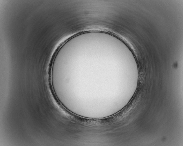 X0000100350995200806060756