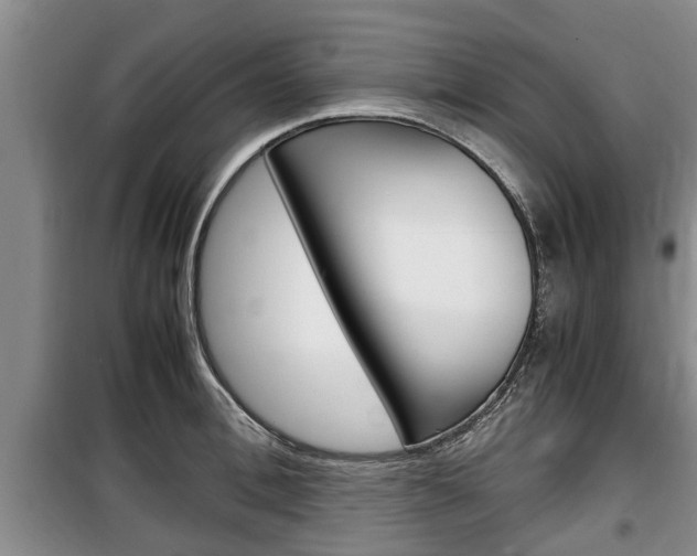 X0000100350996200806060756