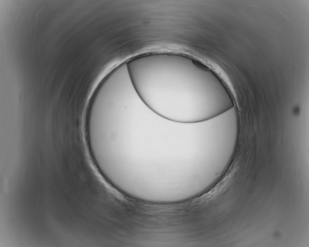 X0000100350997200806060756