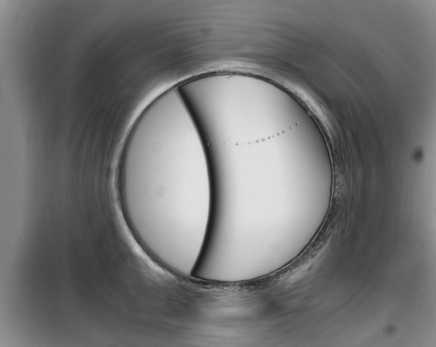 X0000100350999200806060756