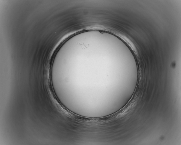 X0000100351000200806060756