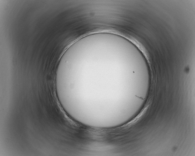 X0000100351001200806060756