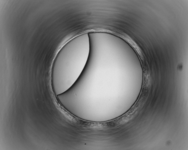 X0000100351002200806060756