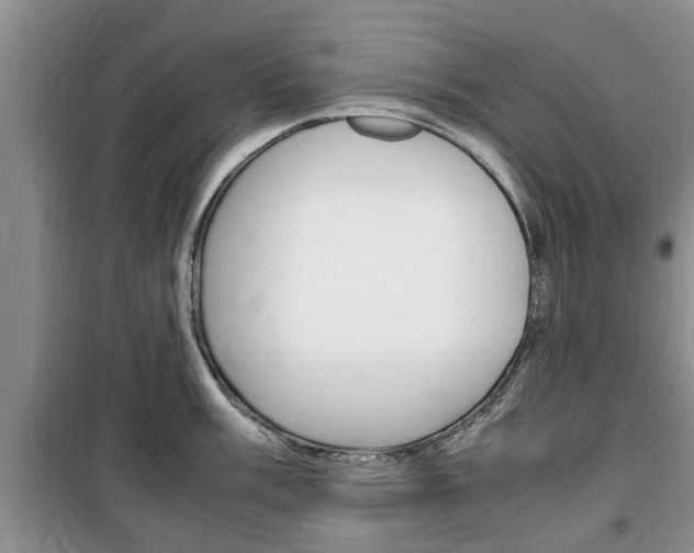 X0000100351003200806060756