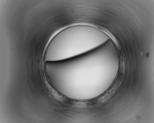 X0000100351004200806060756