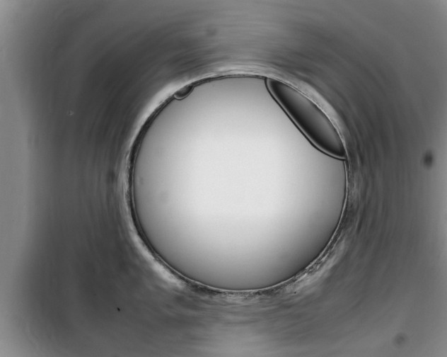 X0000100351005200806060756