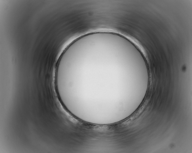 X0000100351006200806060756