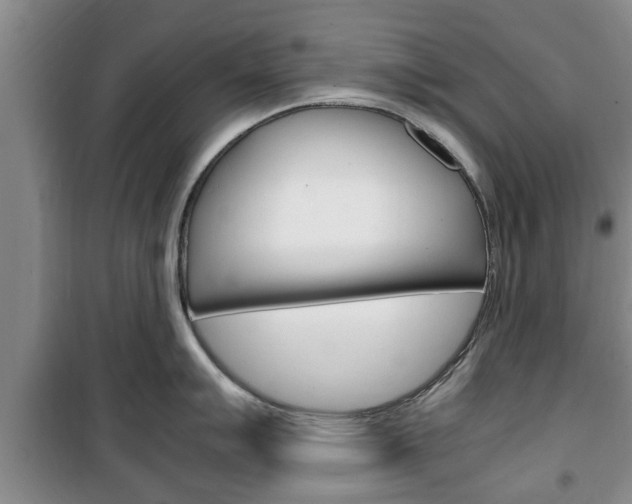 X0000100351007200806060756