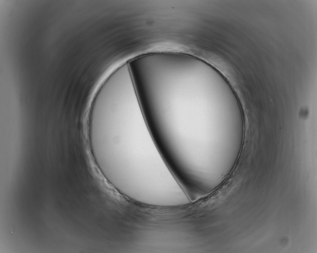 X0000100351008200806060756