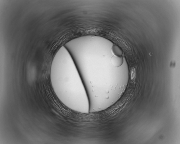 X0000100351011200806060755