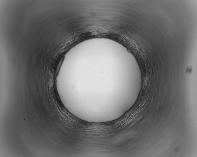 X0000100351012200806060755