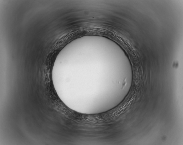 X0000100351013200806060755