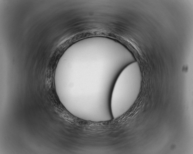 X0000100351015200806060755