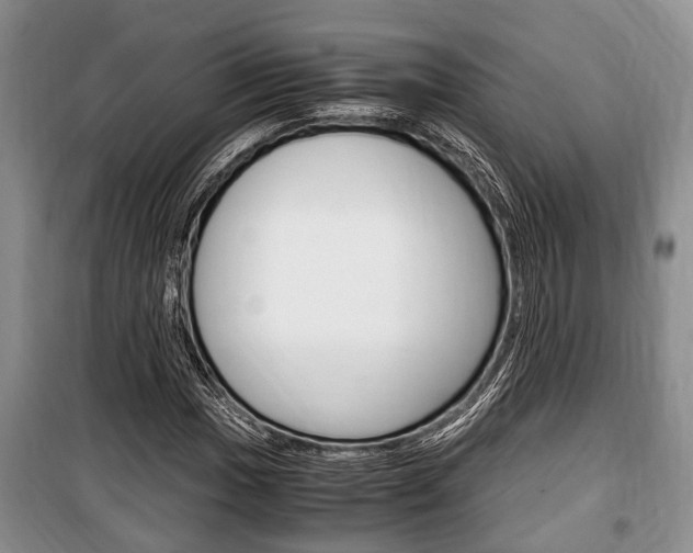 X0000100351017200806060755