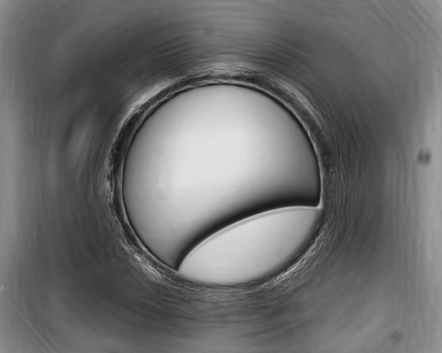 X0000100351018200806060755