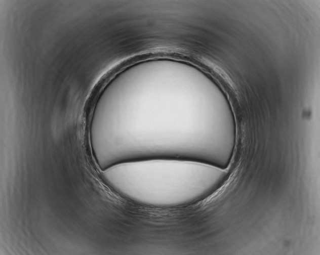 X0000100351021200806060755