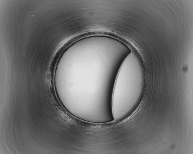 X0000100351022200806060755