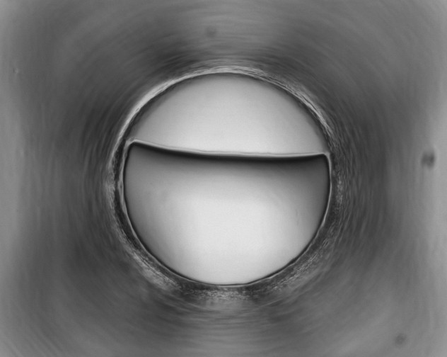 X0000100351024200806060755