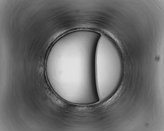 X0000100351025200806060755