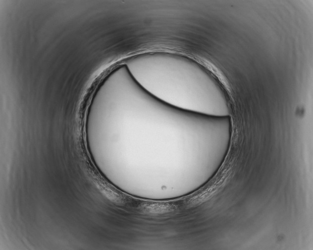 X0000100351027200806060755